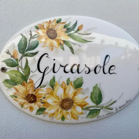 Gazania * 산빈첸초