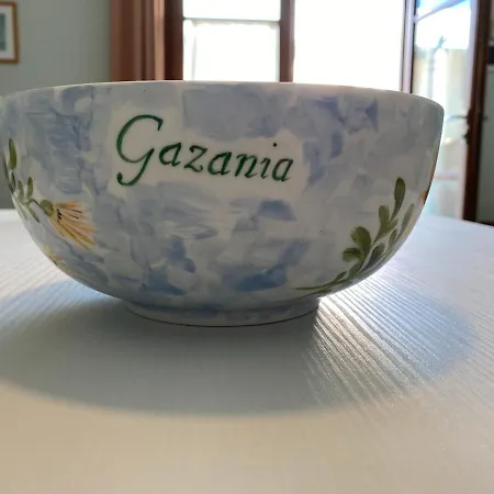 아파트 Gazania